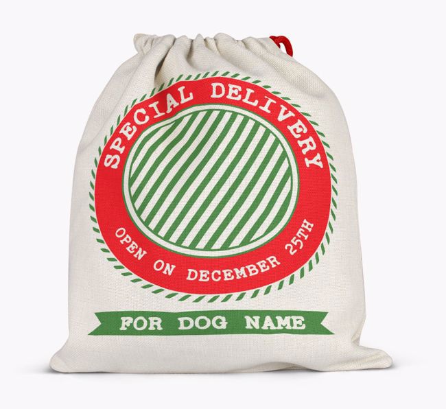 'Special Delivery' - Personalized Santa Sack for your {breedFullName}